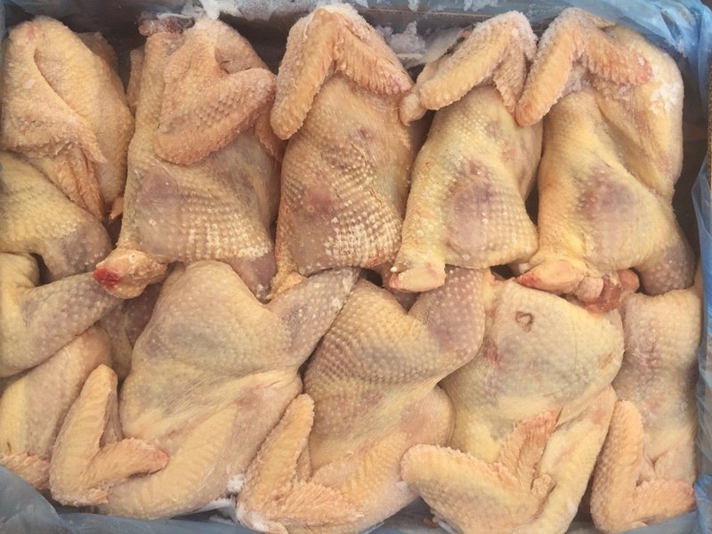 Vì sao Việt Nam phải nhập khẩu thịt gà đông lạnh?