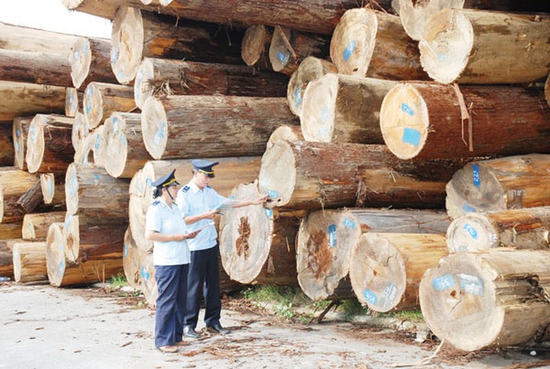 nhập khẩu gỗ từ Lào